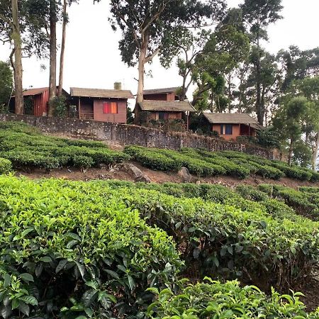 Holacasa Cottages 蒙纳 外观 照片