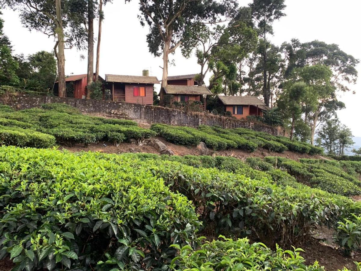Holacasa Cottages 蒙纳 外观 照片