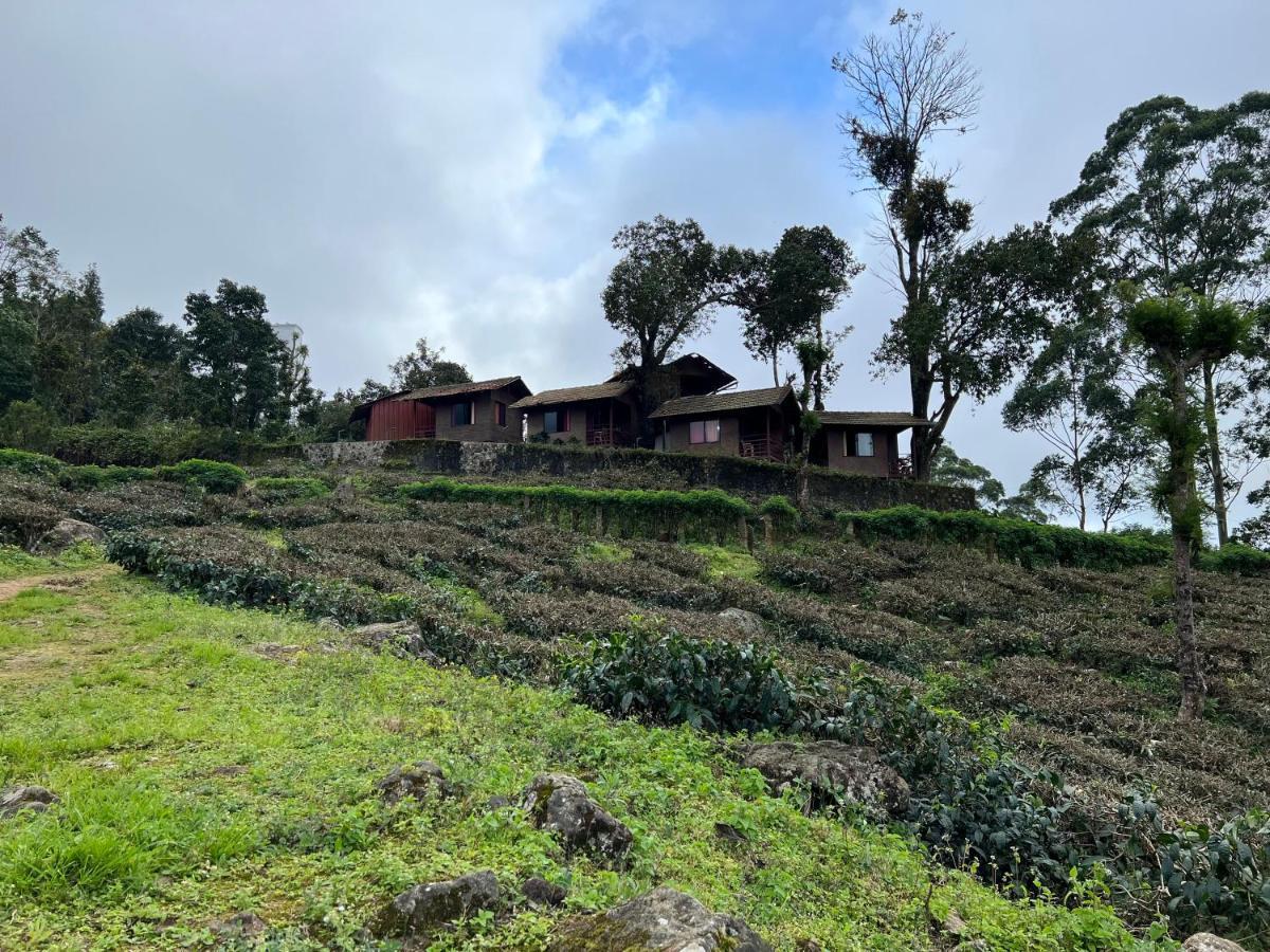 Holacasa Cottages 蒙纳 外观 照片