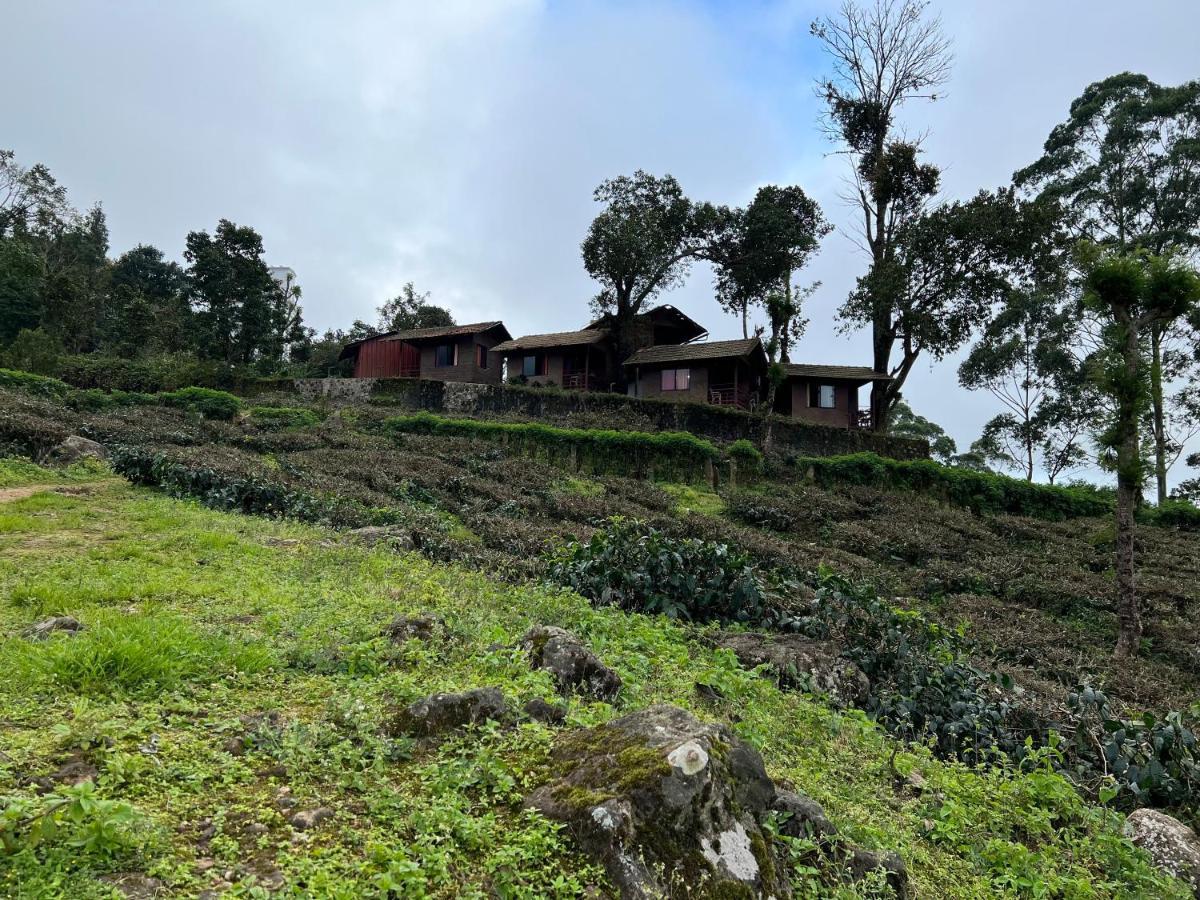 Holacasa Cottages 蒙纳 外观 照片